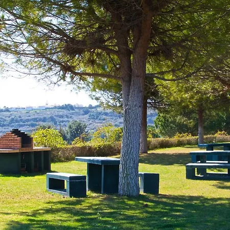 Premium * 阿尔布费拉